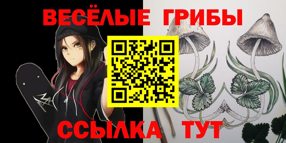Галлюциногенные грибы мицелий  Вход с VPN  Зеленодольск 